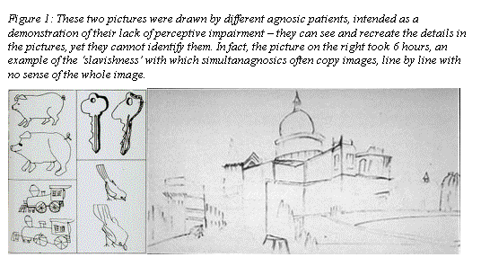 Text Box: Figure 1: These two pictures were drawn by different agnosic patients, intended as a demonstration of their lack of perceptive impairment � they can see and recreate the details in the pictures, yet they cannot identify them. In fact, the picture on the right took 6 hours, an example of the �slavishness� with which simultanagnosics often copy images, line by line with no sense of the whole image.
  
