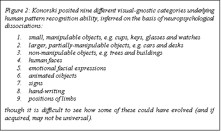 Text Box: Figure 2: Konorski posited nine different visual-gnostic categories underlying human pattern recognition ability, inferred on the basis of neuropsychological dissociations:
1.	small, manipulable objects, e.g. cups, keys, glasses and watches
2.	larger, partially-manipulable objects, e.g. cars and desks
3.	non-manipulable objects, e.g. trees and buildings
4.	human faces
5.	emotional facial expressions
6.	animated oibjects
7.	signs
8.	hand-writing
9.	positions of limbs
though it is difficult to see how some of these could have evolved (and if acquired, may not be universal).

